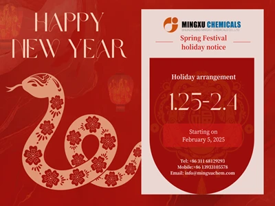 Spring Festival Holiday Notice